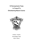 15 Pennsylvania Trees In Troop 57`s Orienteering Nature Course