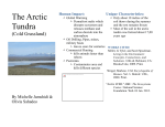 Tundra - AP Environmental Science at Seton