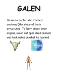 GALEN He was a doctor who studied anatomy (the study of body