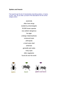 Spiders and Insects - University of Bath