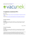 Ureaplasma urealyticum DNA : vacunek : http://vacunek.com