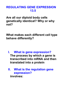 REGULATING GENE EXPRESSION