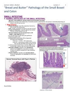 NOTE: All IBD patients must be routinely monitored for