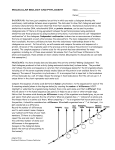 molecular biology and phylogeny