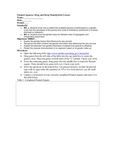 Punnett Squares: Drag and Drop Monohybrid Crosses