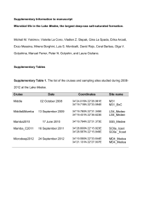 Supplementary Information to manuscript Microbial life in the Lake