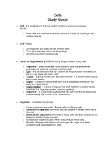 Cells Study Guide