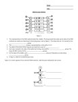 NAME Date DNA Structure Review Figure 1 The untwisted form of