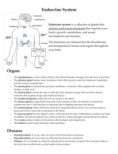 Endocrine System