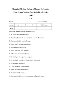 Multiple-choice Questions: