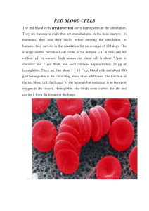 RED BLOOD CELLS The red blood cells (erythrocytes) carry