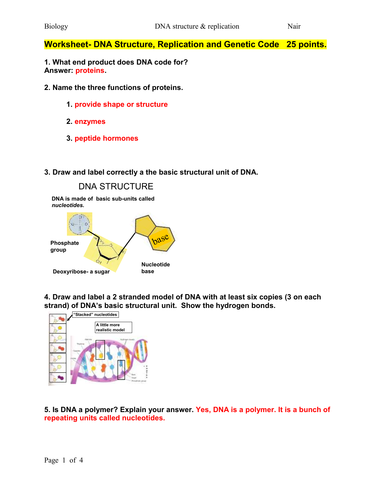 Dna Structure Replication And Genetic Code 25 Points