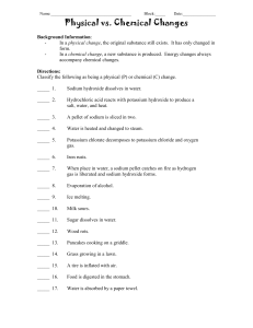 Chem/Phy Change ws