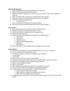 SBI4U: Molecular Genetics Unit Review