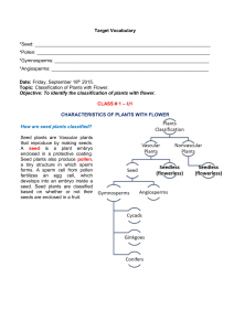Target Vocabulary *Seed: *Pollen: *Gymnosperms: *Angiosperms
