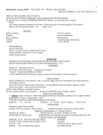 Radiographic Contrast Media RAD TECH 255 SPECIAL