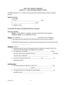 AH100 - Medical Terminology