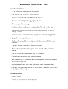 Introduction to Animals - Phillips Scientific Methods
