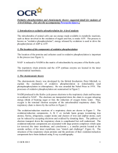 Oxidative Phosphorylation and the Chemiosmotic Theory