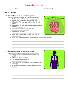 Inside the Human Body—The Respiratory System