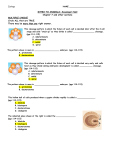 Intro to Animals Scavenger Hunt