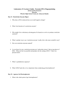 Laboratory #1 Lecture Guide: Forensic DNA Fingerprinting