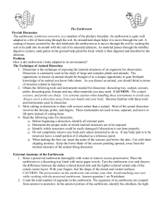 Internal Anatomy of the Earthworm