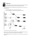 DNA experiments exercise