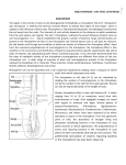 Rhizosphere AND PHYLLOSPHERE