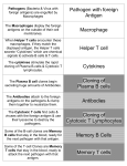 Pathogens (Bacteria with foreign antigens) are