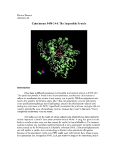 Cytochrome P450 3A4: The Impossible Protein