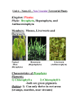 Unit 4 – Notes #2 – Non-Vascular Plants - Kevan Kruger