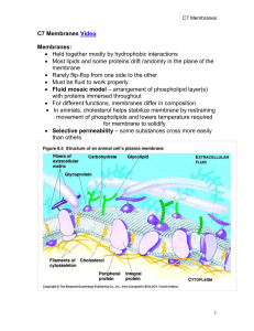 chapter 7 membranes