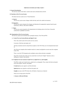 Nervous System Lecture- Part II