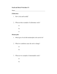 Fossil and Rocks Worksheet #1