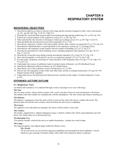 Chapter 8 Respiratory System
