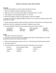 Cell Division Cancer review 16-17