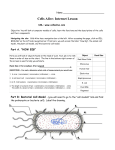 Cells Alive - The Biology Corner