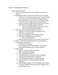 Chapter 8: Fundamentals of Genetics