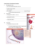 Genetics Session 9: Transcription and Translation