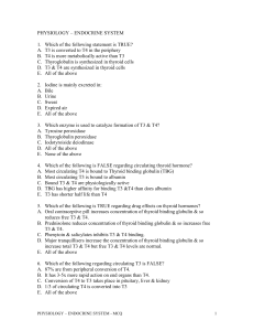 physiology – endocrine system