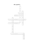DNA and RNA - Crossword Labs