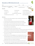 strawberry dna extraction lab