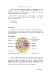 cell structure and tissue