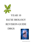 YEAR 10 IGCSE BIOLOGY REVISION GUIDE DBGS DIGESTION