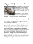 Capybara: an example of an issue report