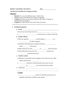 Book F Chapter 3 Section 4