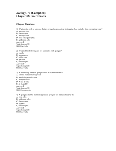 Biology, 7e (Campbell) Chapter 33: Invertebrates Chapter Questions