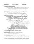 Study Guide Cell Division Honors