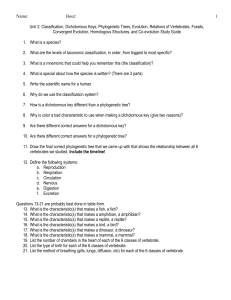 Unit 2: Dichotomous Keys, Phylogenetic Trees,